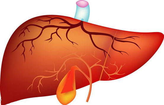 胆结石不及时治疗会造成哪些肝脏问题？